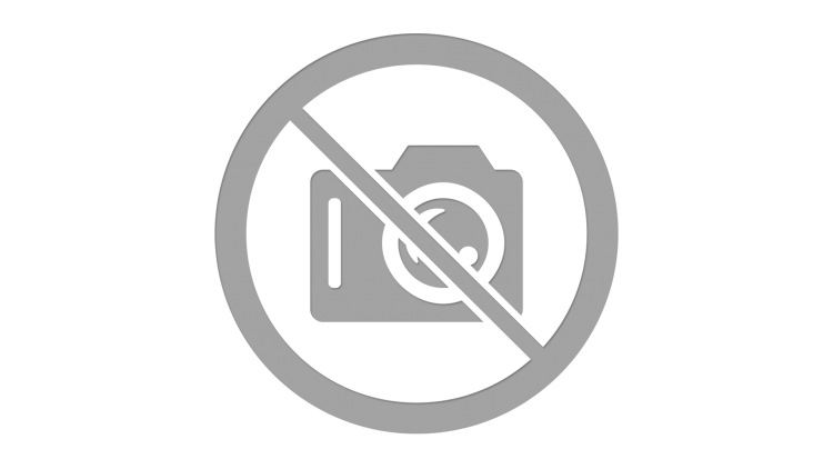 Renault Trafic 9 Lugares