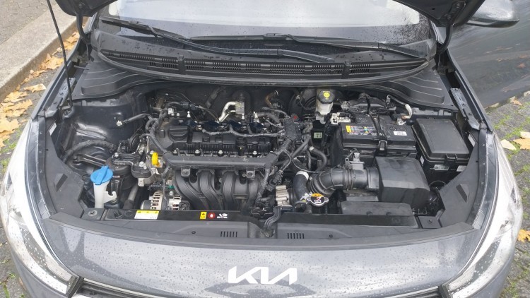 Kia Rio Dynamic
