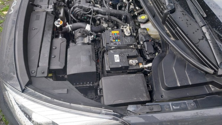 Kia Rio Dynamic